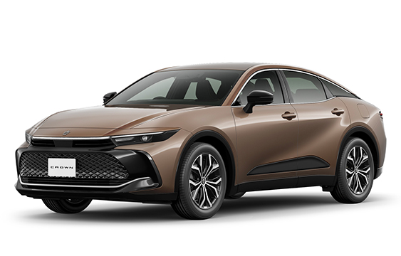 プレシャスブロンズ＊メーカーオプション