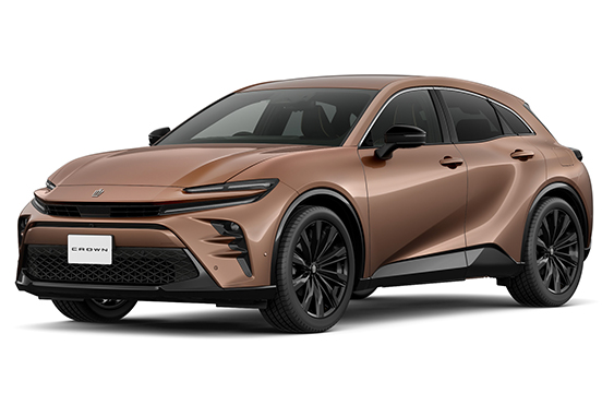 プレシャスブロンズ＜4Y6＞ ※メーカーオプション