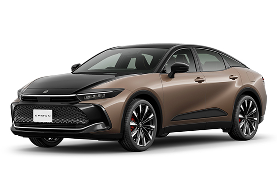 ブラック×プレシャスブロンズ ＊メーカーオプション